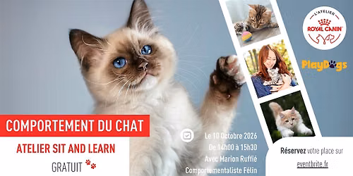 Atelier Sit & Learn - Comportement Chat