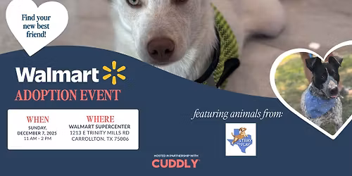 Walmart Adoption Event | Carrollton, TX