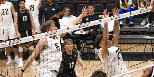 Lindenwood Lions at Long Beach State Mens Volleyball