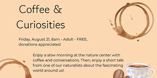 Coffee & Curiosities