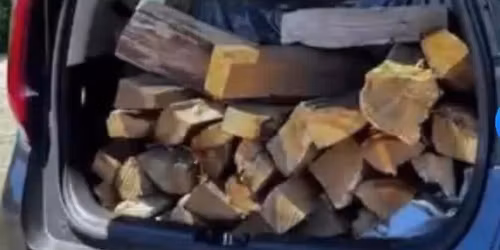 June 20th pick up firepit wood or firewood  8-8:45 am only