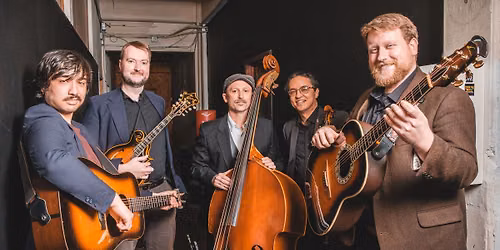 The New Acoustic Collective at Bubb Park