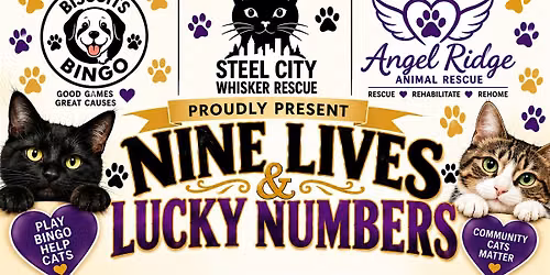 Nine Lives & Lucky Numbers