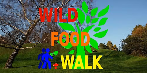 Brandon Hill Park (Bristol) Wild Food Foraging\/ Foragers Walk.