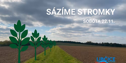 Spole\u010dn\u00e1 v\u00fdsadba stromk\u016f