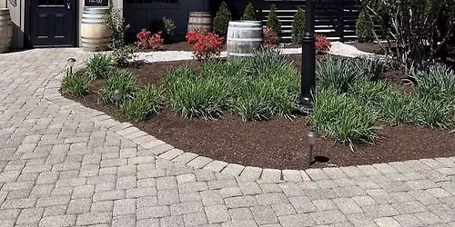 Katelyn Christine Performs 