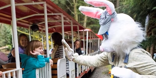 Easter Bunny Train