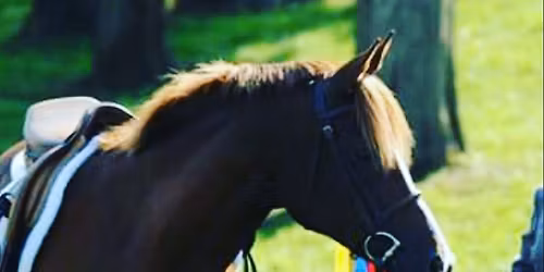 Clarke County Ruritan Show Series 