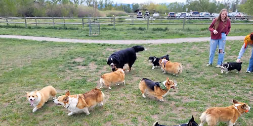 June Playdate at the Pond