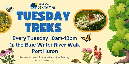 Tuesday Treks