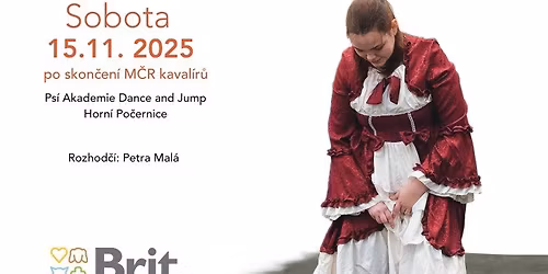 PODZIMN\u00cd LIMITKA 2025  Neofici\u00e1ln\u00ed z\u00e1vody v dogdancingu  & CAVI DANCE 2025