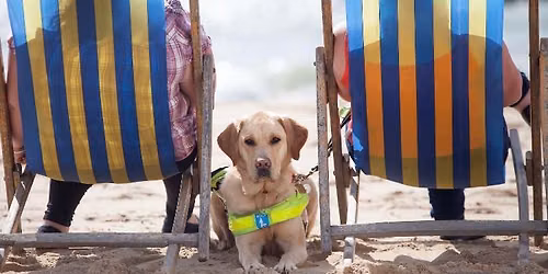 Guide Dogs at the St Thomas Mores School Fair