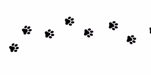Adoption Event \/ Grand opening 