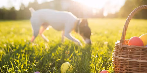 Velikono\u010dn\u00ed soust\u0159ed\u011bn\u00ed s NW, DD a OB 2026