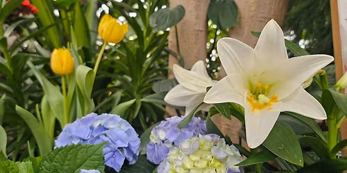 RGA Member Meet & Greet