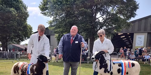 Jacob Sheep English National Show 2026