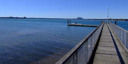 Omokoroa Godwits\/Kuaka Festival