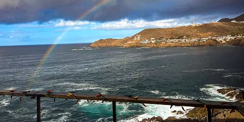 Punta Banda Birding Club