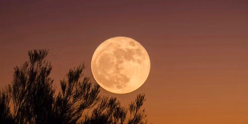 Full Moon Sound Healing