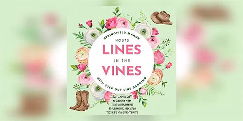 Line Dancing at Springfield Manor Winery 4\/25