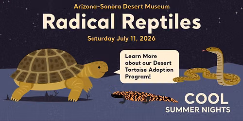 Radical Reptiles (Cool Summer Nights) 