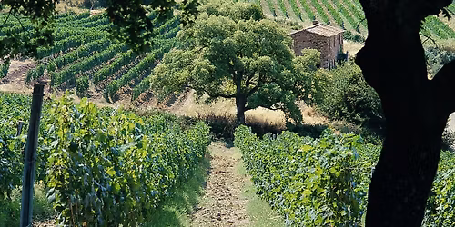 Bli kjent med Toscana!