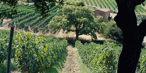 Bli kjent med Toscana!