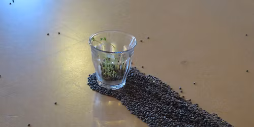 durations 6. tremor, ritual for oblivion