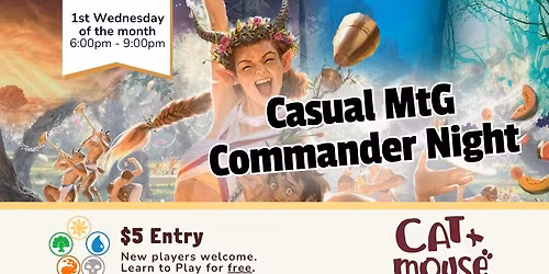 Casual MtG Commander Night