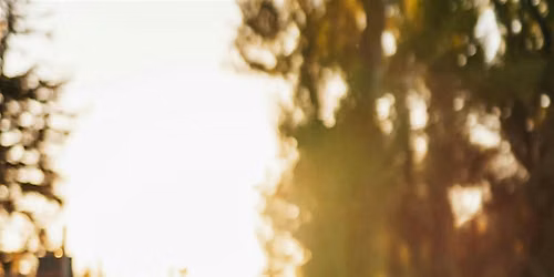 Sunset Yoga in the woods