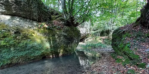 San Pietro di Feletto tra torrenti, boschi e felci