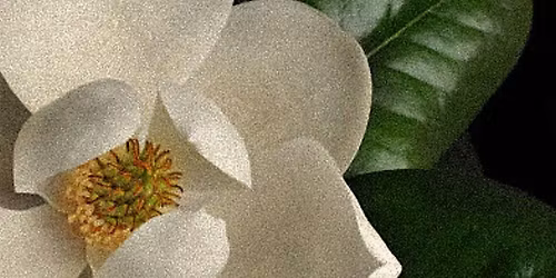 Under the Same Sky - A Short Film & Chill for LABASED