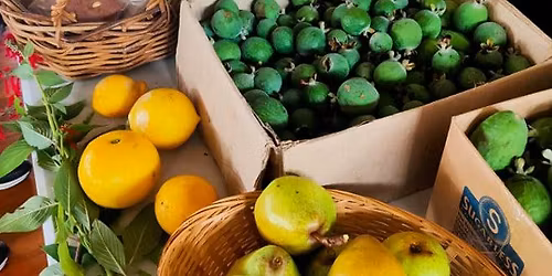 K\u0101piti Crop Swap OTAKI