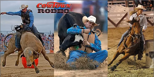 Rodeo at The Great Darke County Fair