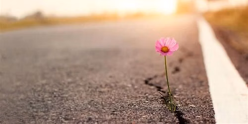 Spiritual Hope - a one-day retreat with Jake Dartington