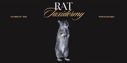 Rat Taxidermy Workshop