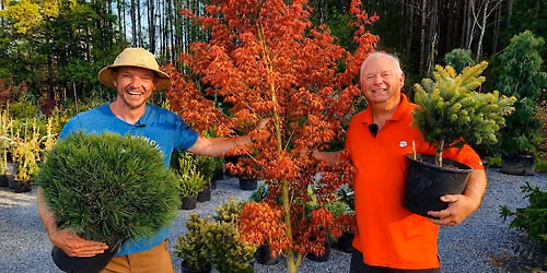 Conifer-Con