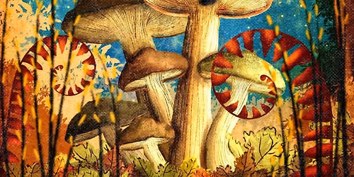 Autumn Equinox Sound Healing, Cacao and The Herbal Bar at the Holistic Haven, Hellingly