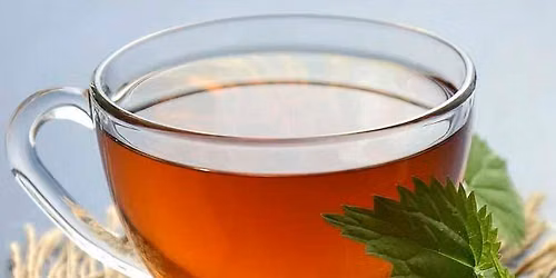 Introduction to Scottish Herbs Part 2