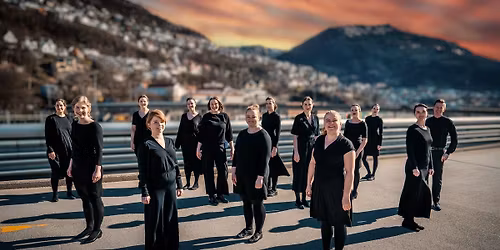 DRAUMKVEDET 2026 med MULTA PAUCIS