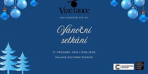 V\u00e1no\u010dn\u00ed setk\u00e1n\u00ed Vize tance