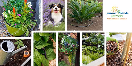 Watering: Best Practices for Summer Success (Glendale)