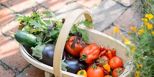 Growing Tender Vegetables Workshop