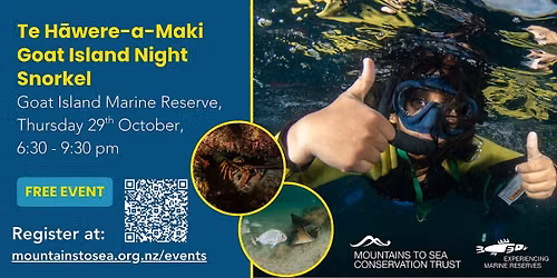 Te H\u0101were-a-Maki Goat Island Night Snorkel