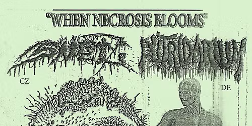 "WHEN NECROSIS BLOOMS" @ KAP94 IN / feat. Snet (cz) - Putridarium & Dark Indication