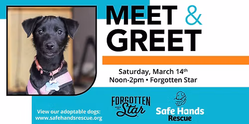 Safe Hands Rescue Meet & Greet at Forgotten Star Brewing
