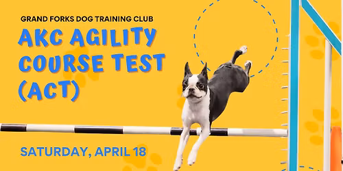 AKC ACT Agility Course Test