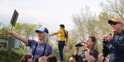 Unplug: Birds of the SCLT Big Goose Natural Area