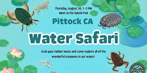Water Safari