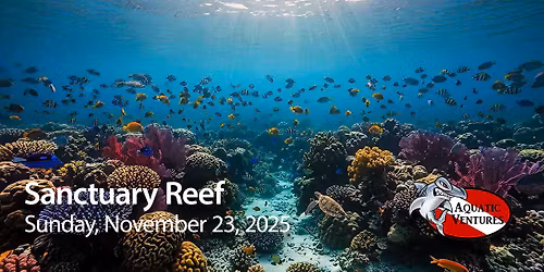 Sanctuary Reef Dive